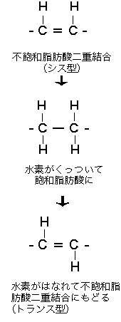 とらんすしぼうさん